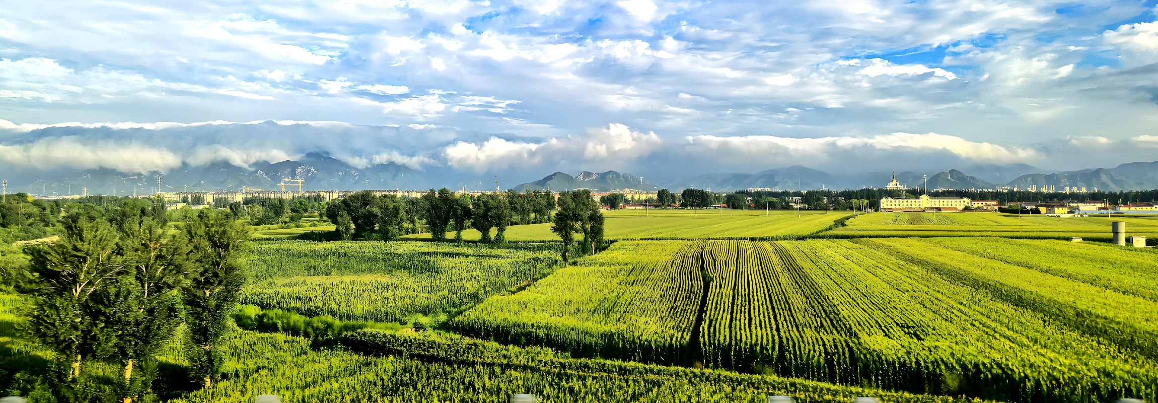 1749288198139858.jpg 726f6ef8-94e5-4da5-a752-87792fd6e033_副本.jpg